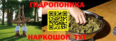 мет Дубна