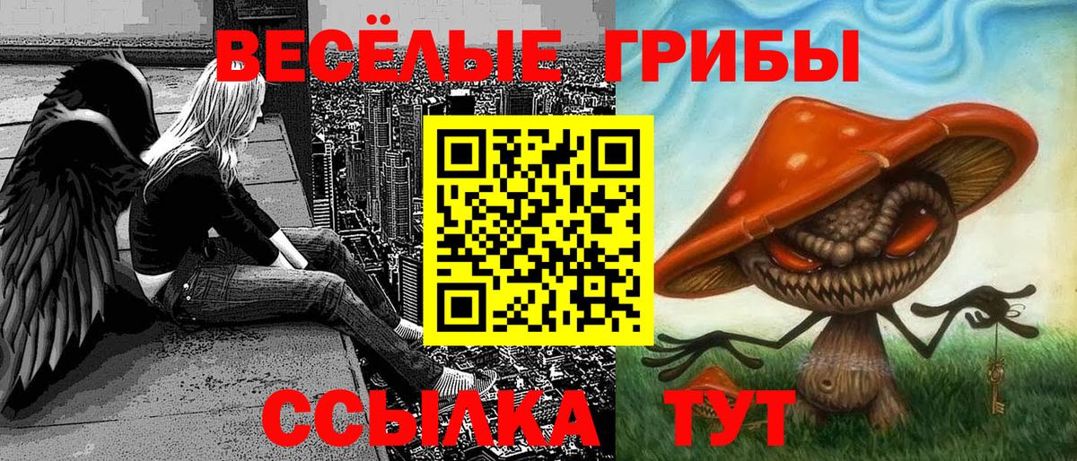 Назарово  Псилоцибиновые грибы ЛСД  Вход с VPN 